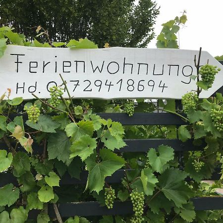 Ferienwohnung Anke Huhn นอร์ดเฮาเซิน ภายนอก รูปภาพ